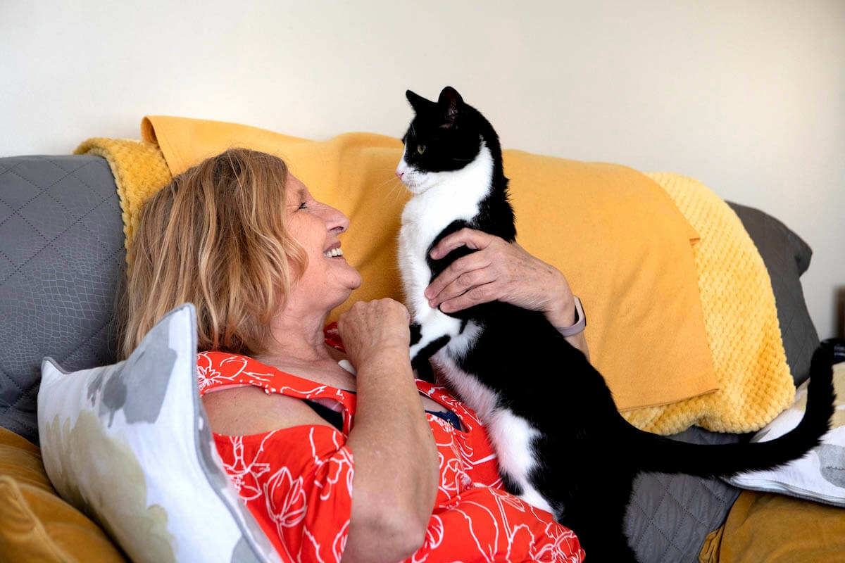 Zebby – The Amazing Story of the UK Cat of the Year!